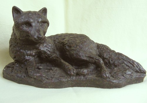 Fox laying down pecorini - laying, j