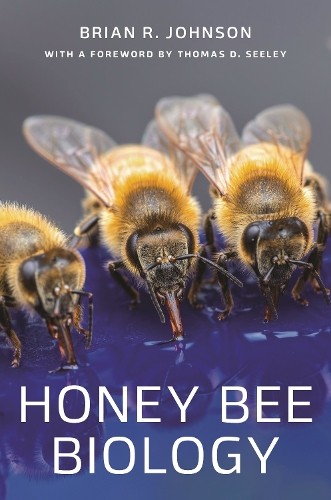 Honey bee biology - honey, by