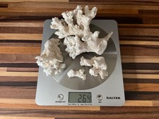 Dry Reef Coral For Marine Fish