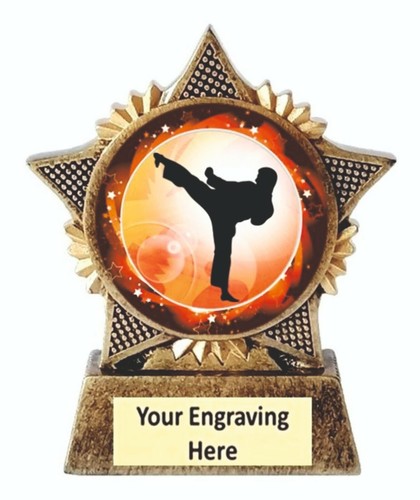 Karate trophy star award 90mm - karate,
