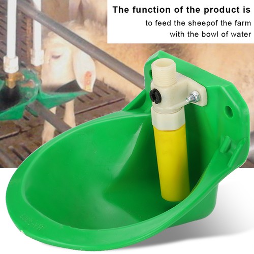 Sheep water bowls touch - water,