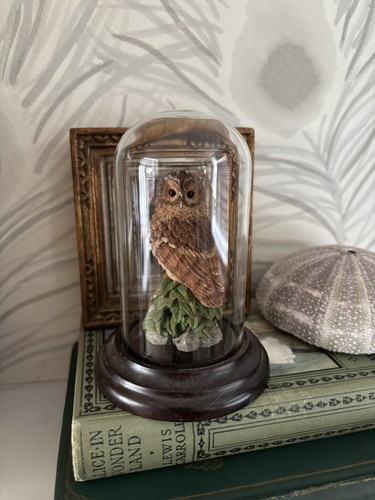 Vintage dome cased - dome,