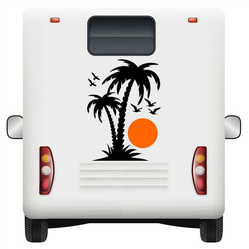 Palm sun tree sunset wall - palm,