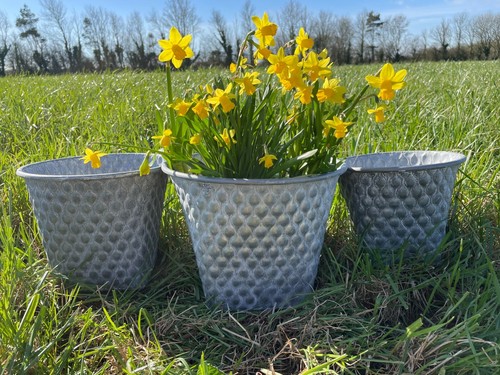 Set 1 galvanised zinc - set,