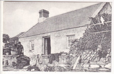 A Repro Postcard of Cottage of