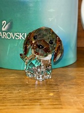 swarovski max beagle puppy dog