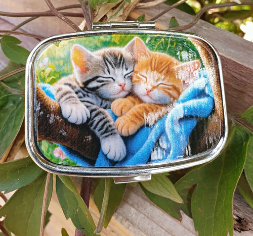 Beautiful cute kittens - cute,