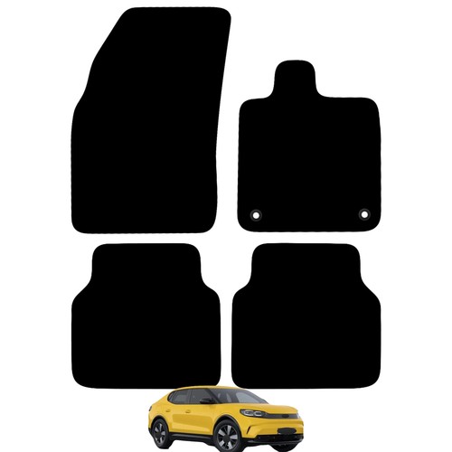 Carsio tailored carpet car - carsio,