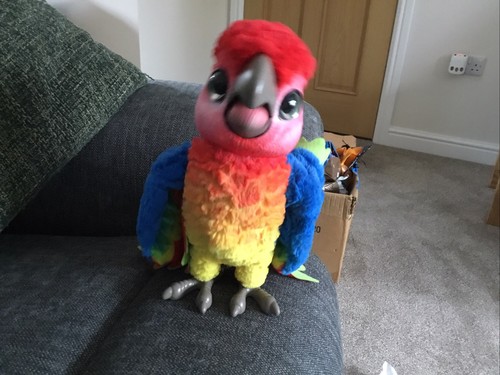 Hasbro furreal friends - hasbro, parrot