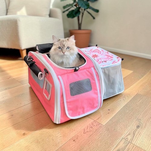 Expandable cat carrier - expandable,