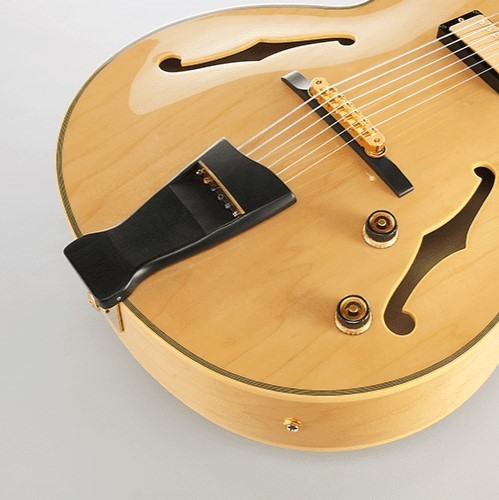 Ibanez pat metheny guitar - ibanez,
