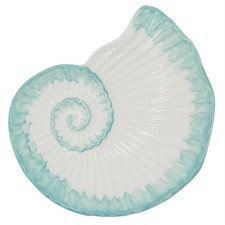 White & Turquoise Ammonite