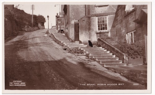 The bank robin - robin, bay