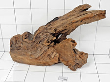 Aquarium Natural Mangrove Root