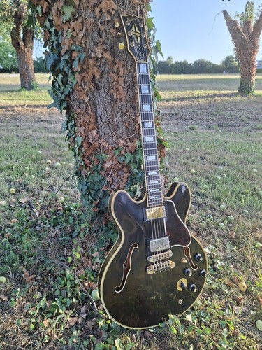 1981 gibson 355td walnut - 1981,