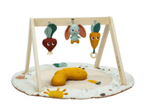 Tiny Love Luxe Gymini Activity