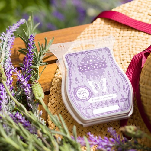 Scentsy provence lavender - 🆕,