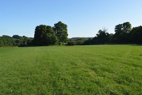 Photo 6x4 field between horse - 6x4,