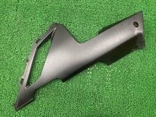 Left Under Cowl for Kawasaki