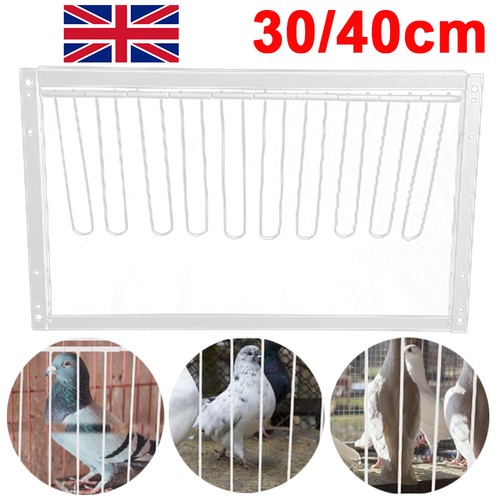 Bird cages trap - bird,