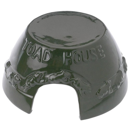 Toad house - toad,