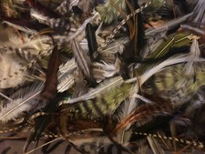 Fly Tying 100/Grizzle hackle