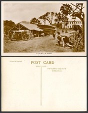 St. Helena Old Real Photo Postcard A Flax Mill, Cattle Cow by Street Scene, Cart