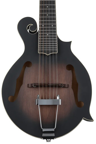 Gold tone 12 string - gold,