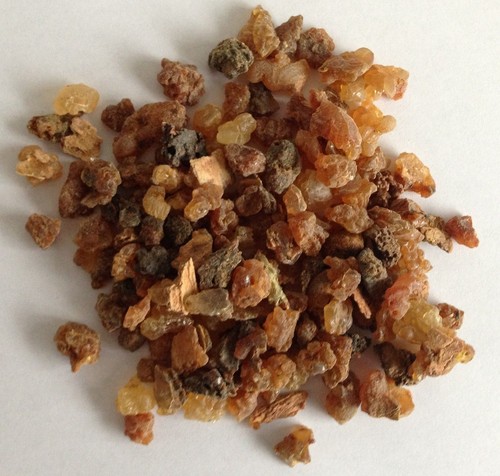 Organic myrrh tree - myrrh,
