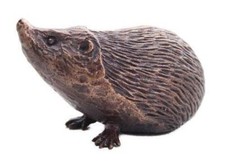 Butler & Peach Detailed Small