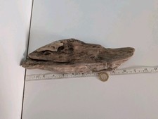 4928#  DECORATIVE DRIFTWOOD