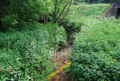 Photo 6x4 river grom ramslye - photo,