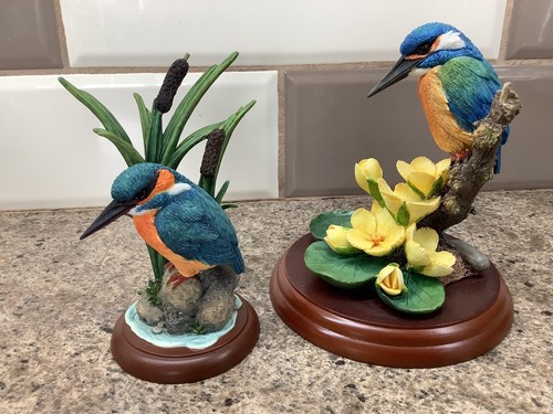 Border fine arts kingfisher - arts,