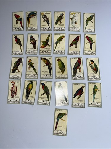 Fulvous cigarettes - s,