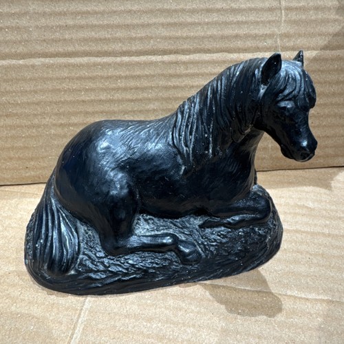 Horse laying down - laying,