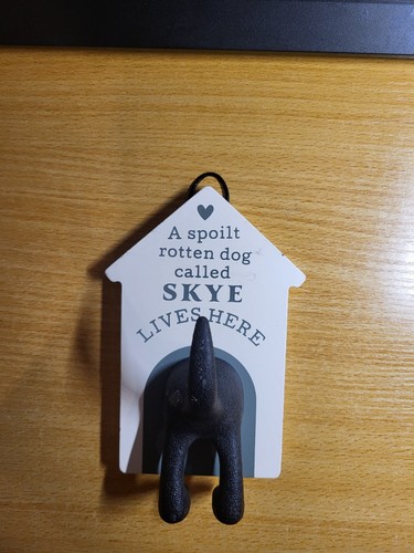 Personalised dog lead - dog,