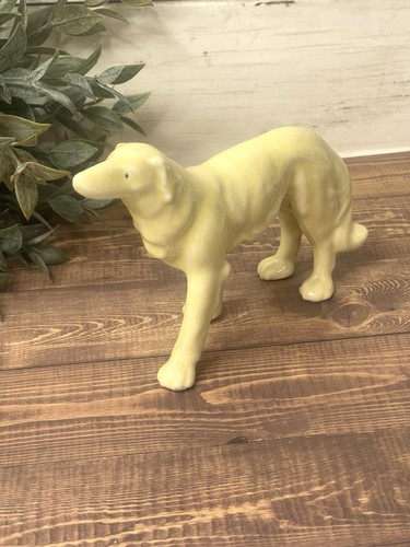 Whippet racing dog - whippet,