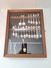 Spoon Display Case 21 Pcs Tea