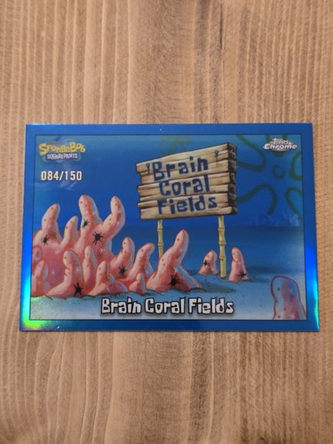Brain coral fields 2025 - coral,