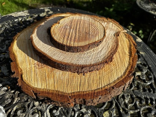 Rustic wooden log - wooden,