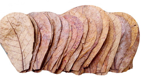100premium indian almond - indian,