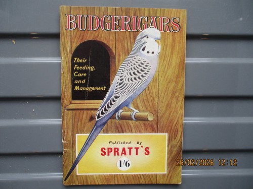 Budgerigars their feeding - budgerigars-their,