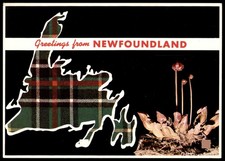 Vintage Newfoundland Canada