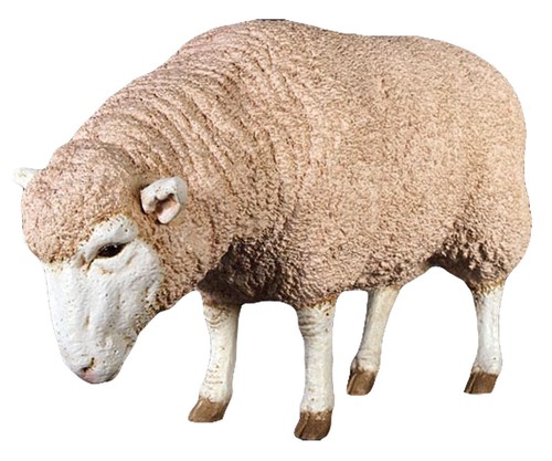 96cm life size merino - 96cm,