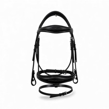 Competition Horse Bridle Show