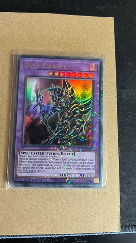 Dark paladin duel terminal - paladin,
