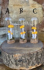 Glass Dome Yellow Mushroom /