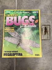 Brown Grasshopper BUGS Issue