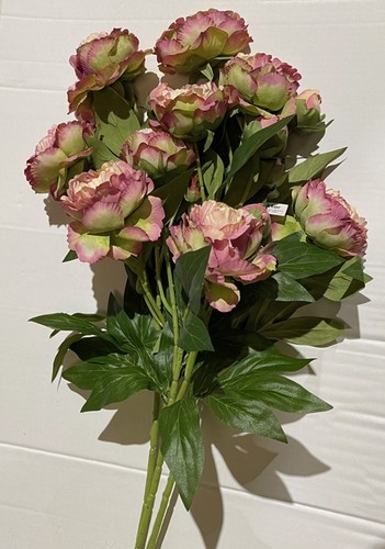 Peony bloom bud sprays rose - peony, bloom/bud