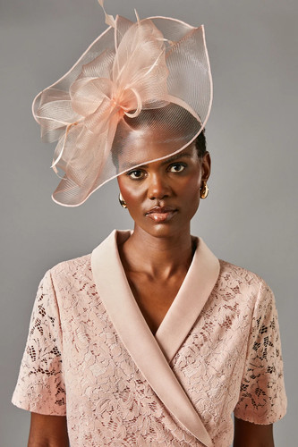 Coast blush fascinator womens - coast,